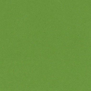 Cartulina Bazzill Liso Verde Limón 12x12 Pulg | 302225