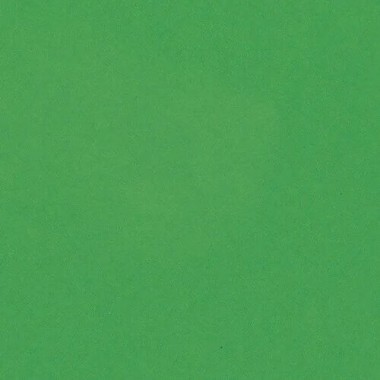 Cartulina Bazzill Liso Verde 12x12 Pulg | 300037