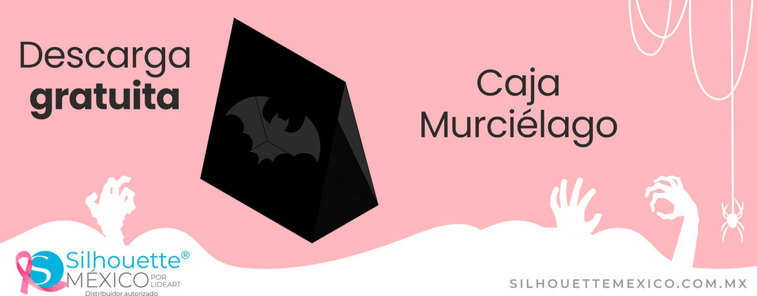 Crea una Caja de Murciélago