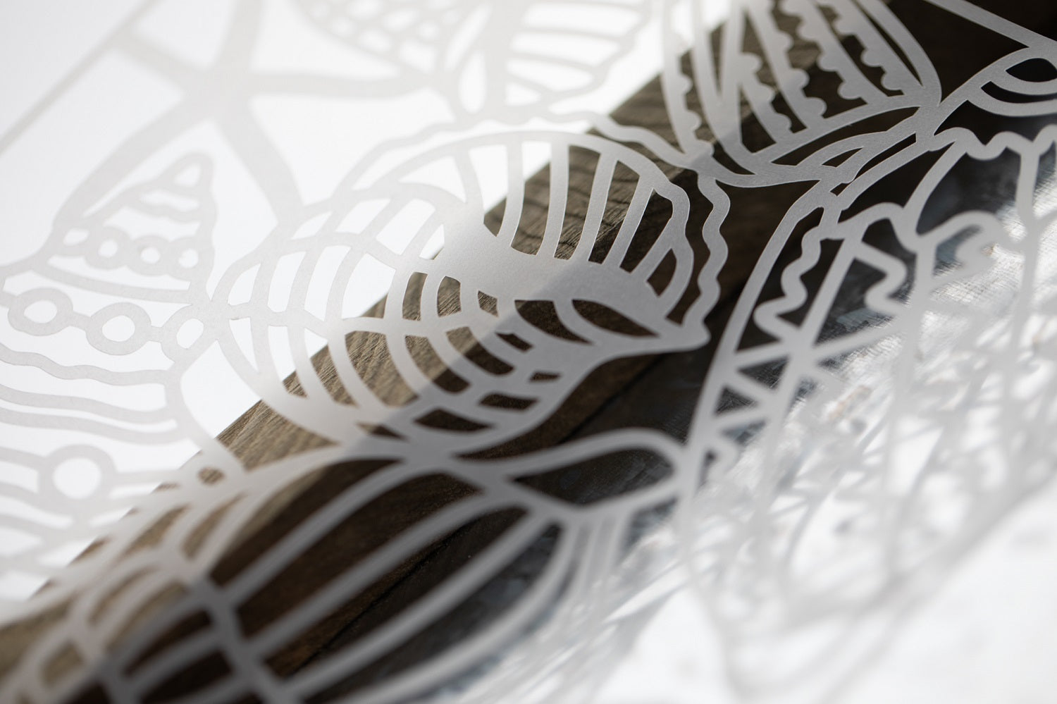 Plotter de Corte Silhouette Cameo 5 Color Blanco