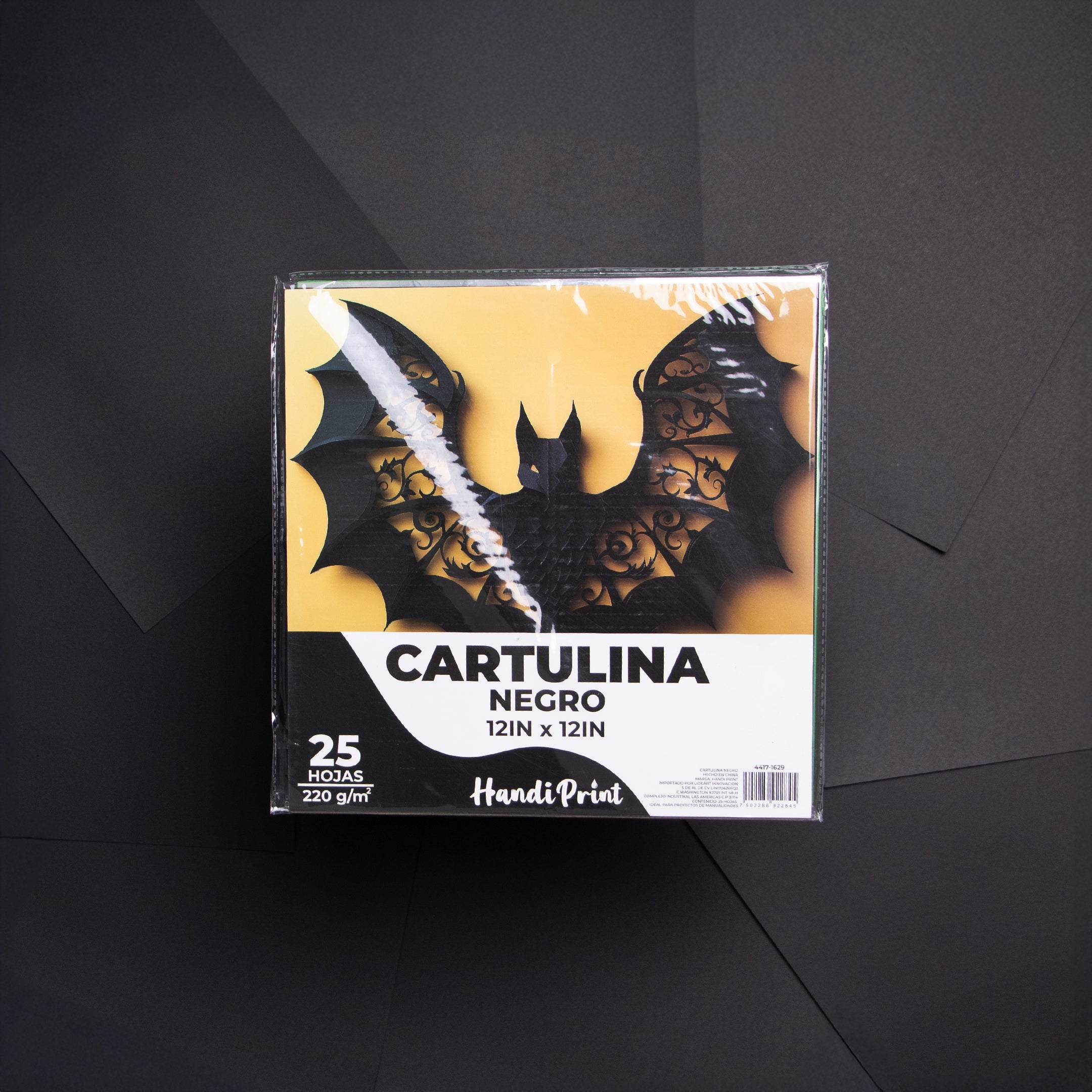 Paquete De Cartulinas 12x12" 25 Pza Handi Print