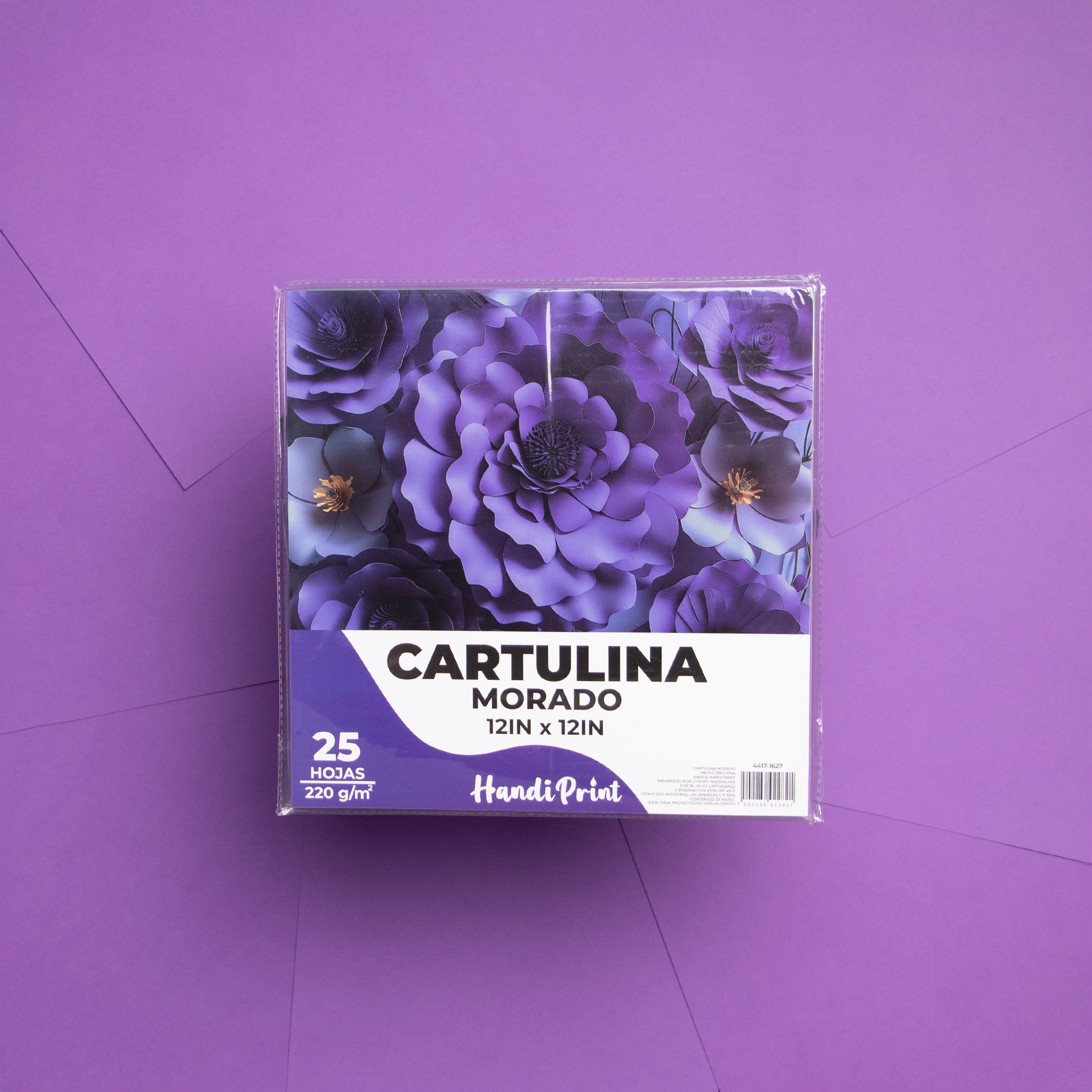 Paquete De Cartulinas 12x12" 25 Pza Handi Print