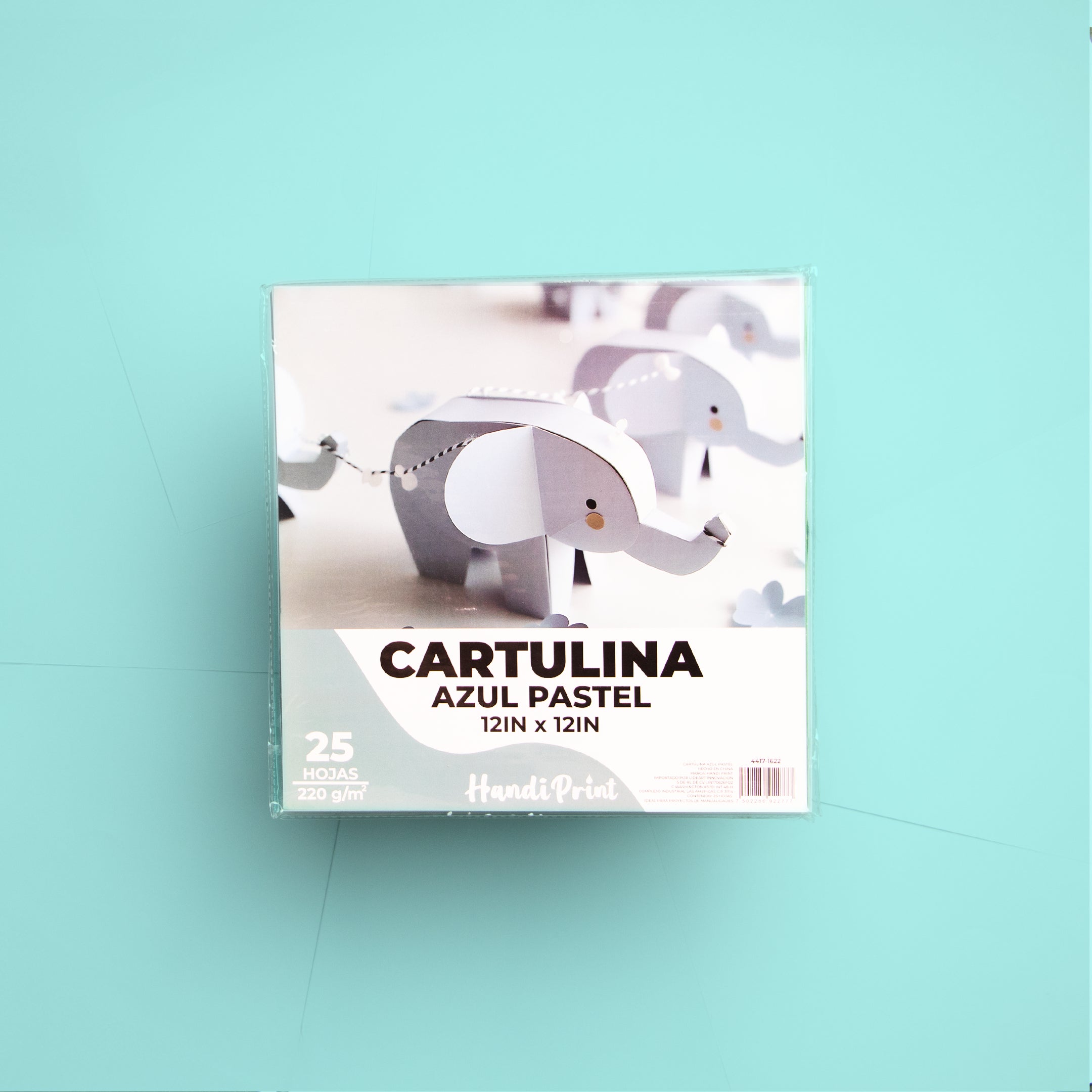 Paquete De Cartulinas 12x12" 25 Pza Handi Print