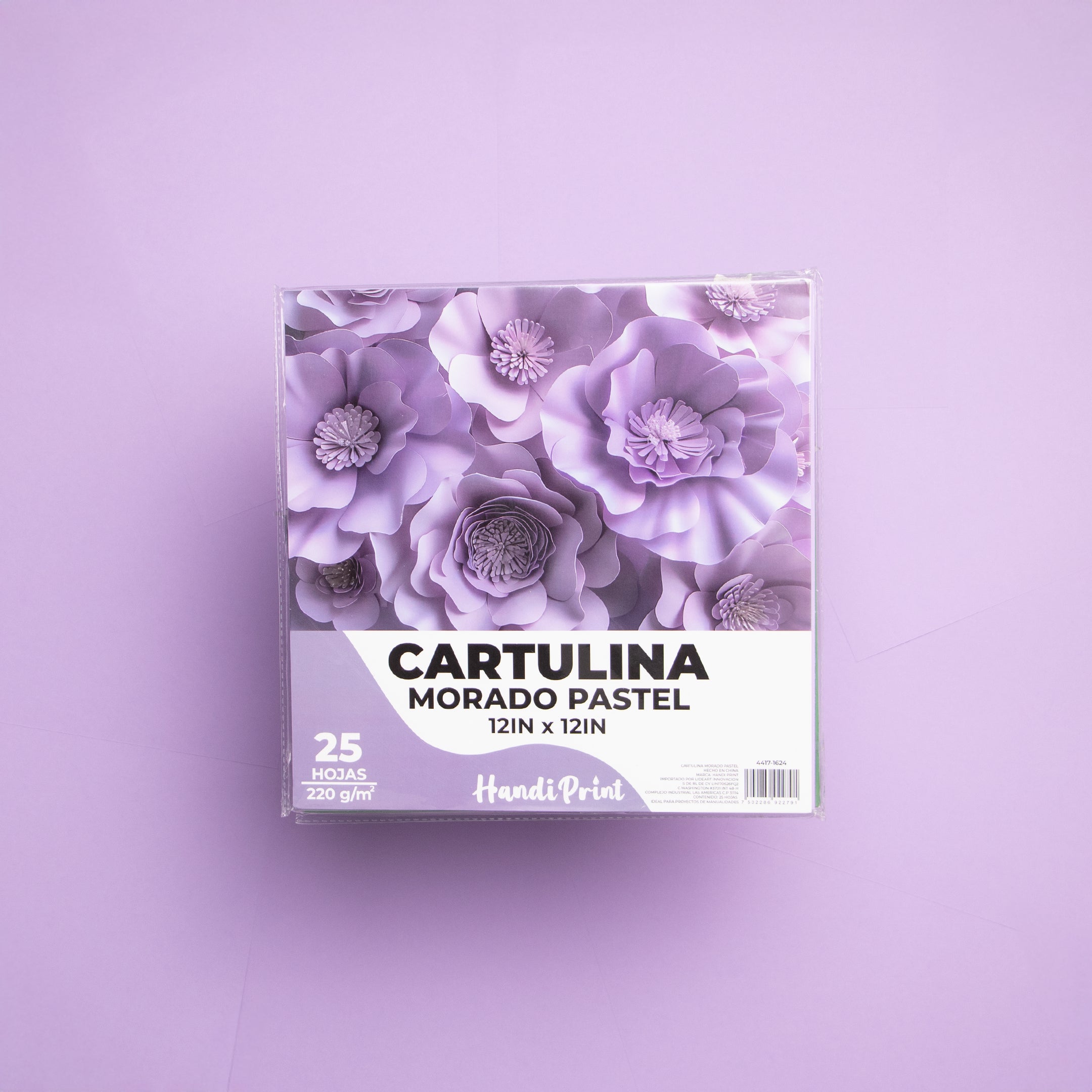 Paquete De Cartulinas 12x12" 25 Pza Handi Print