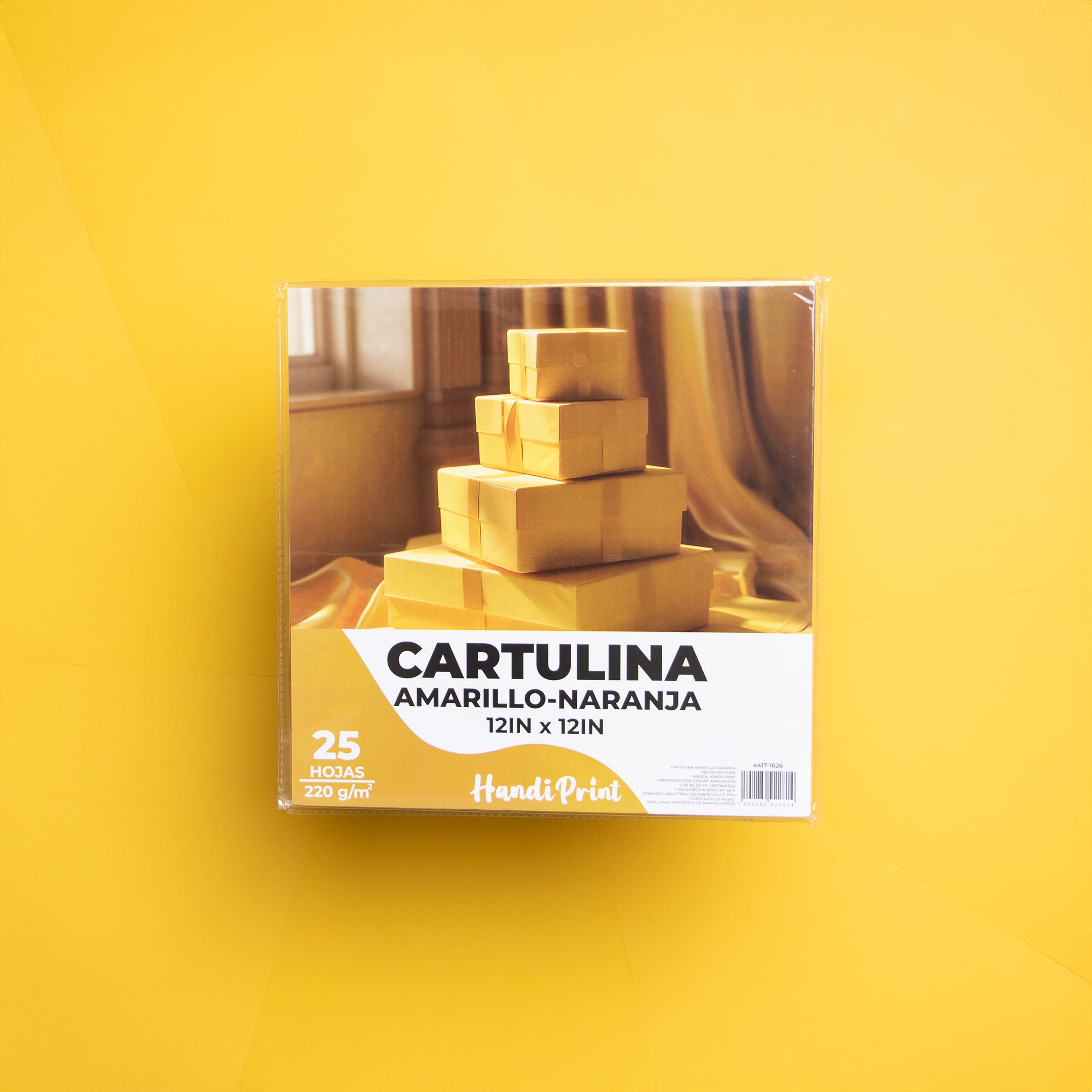Paquete De Cartulinas 12x12" 25 Pza Handi Print