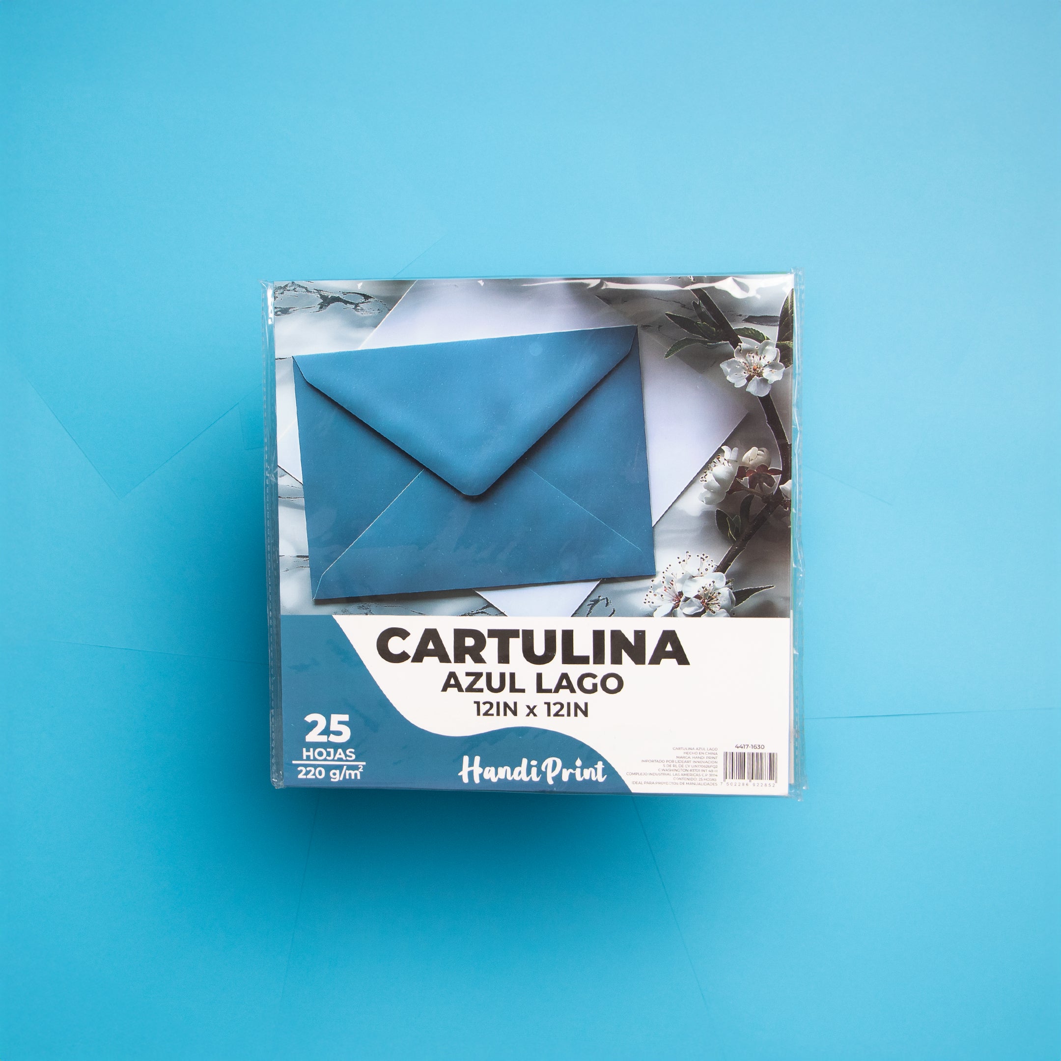 Paquete De Cartulinas 12x12" 25 Pza Handi Print