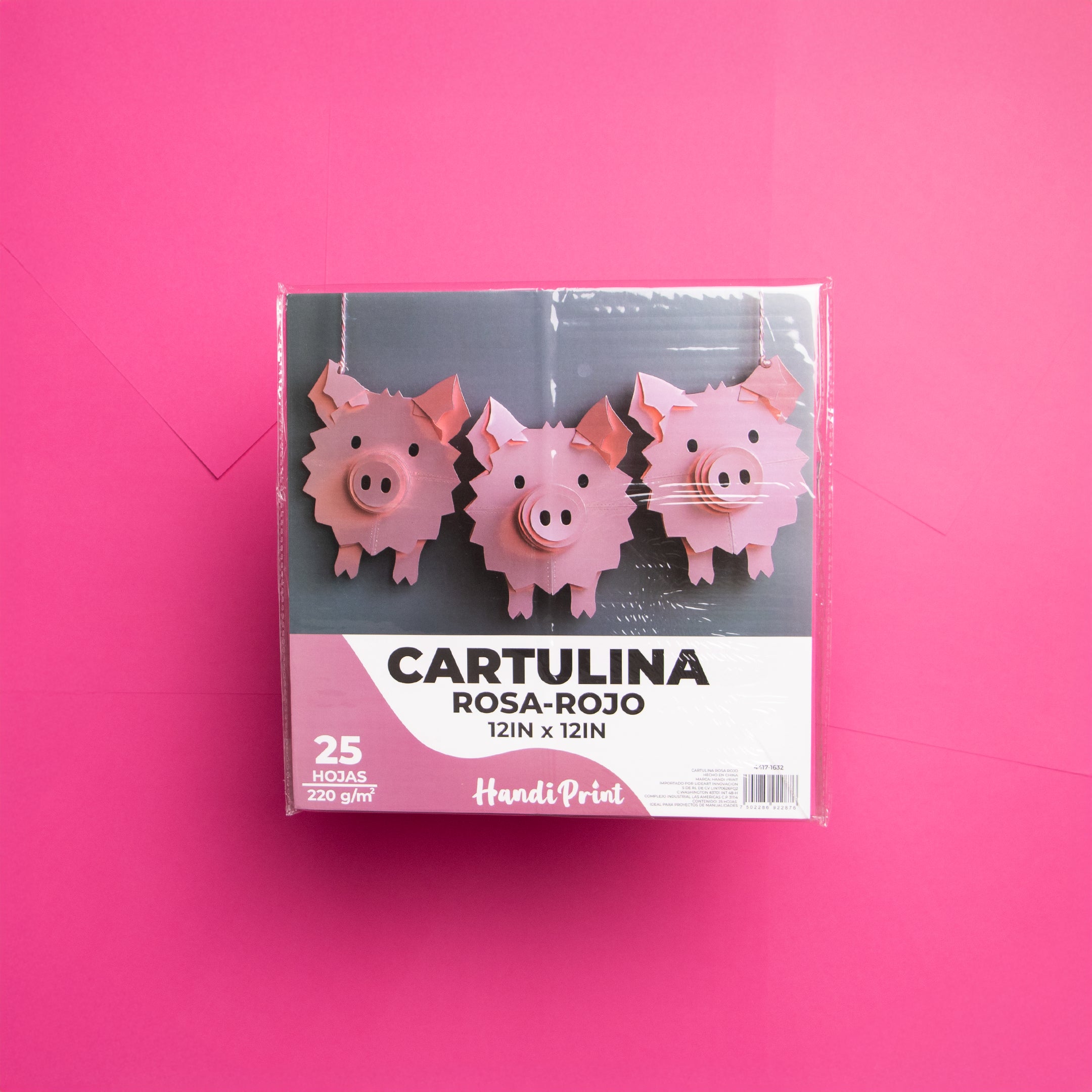 Paquete De Cartulinas 12x12" 25 Pza Handi Print
