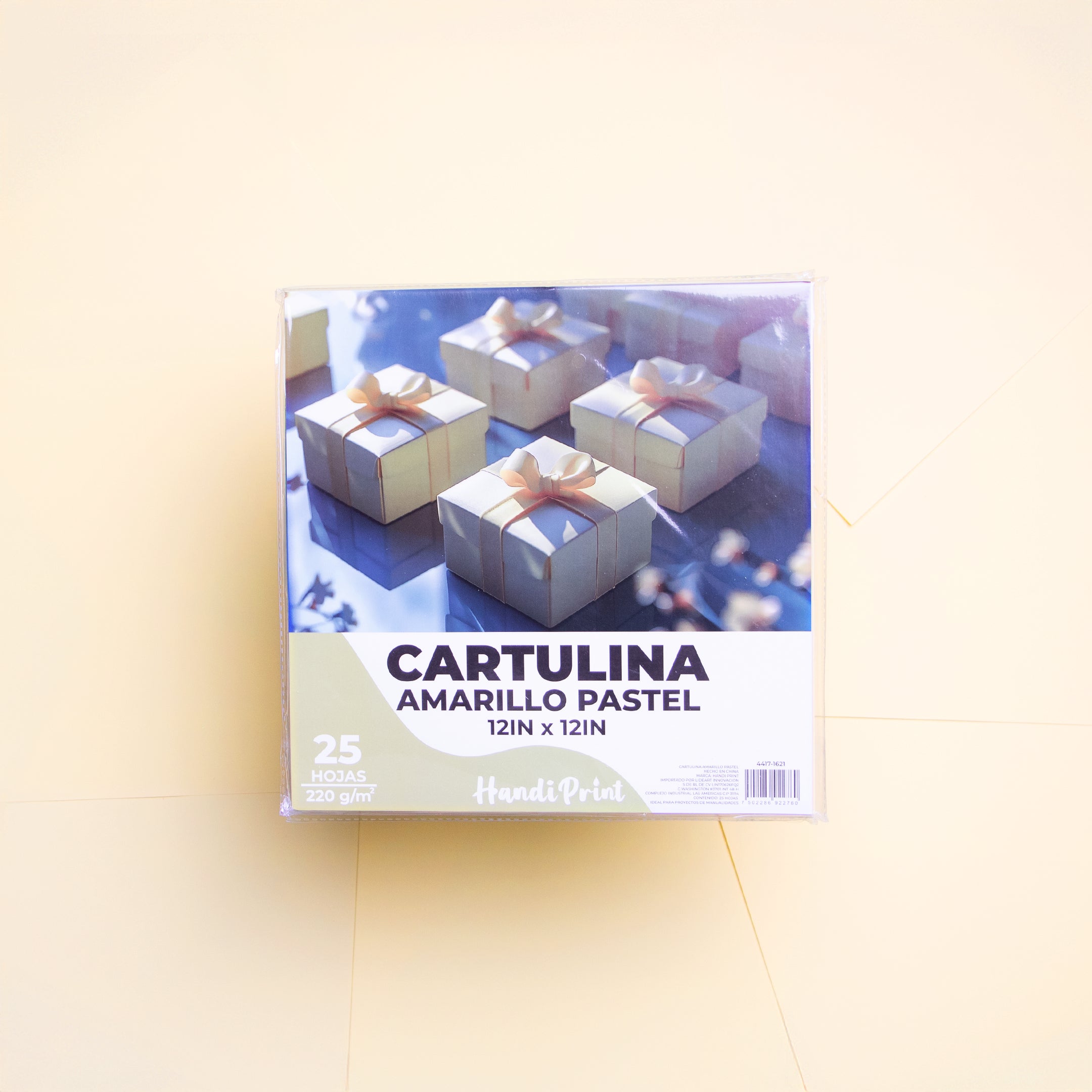 Paquete De Cartulinas 12x12" 25 Pza Handi Print