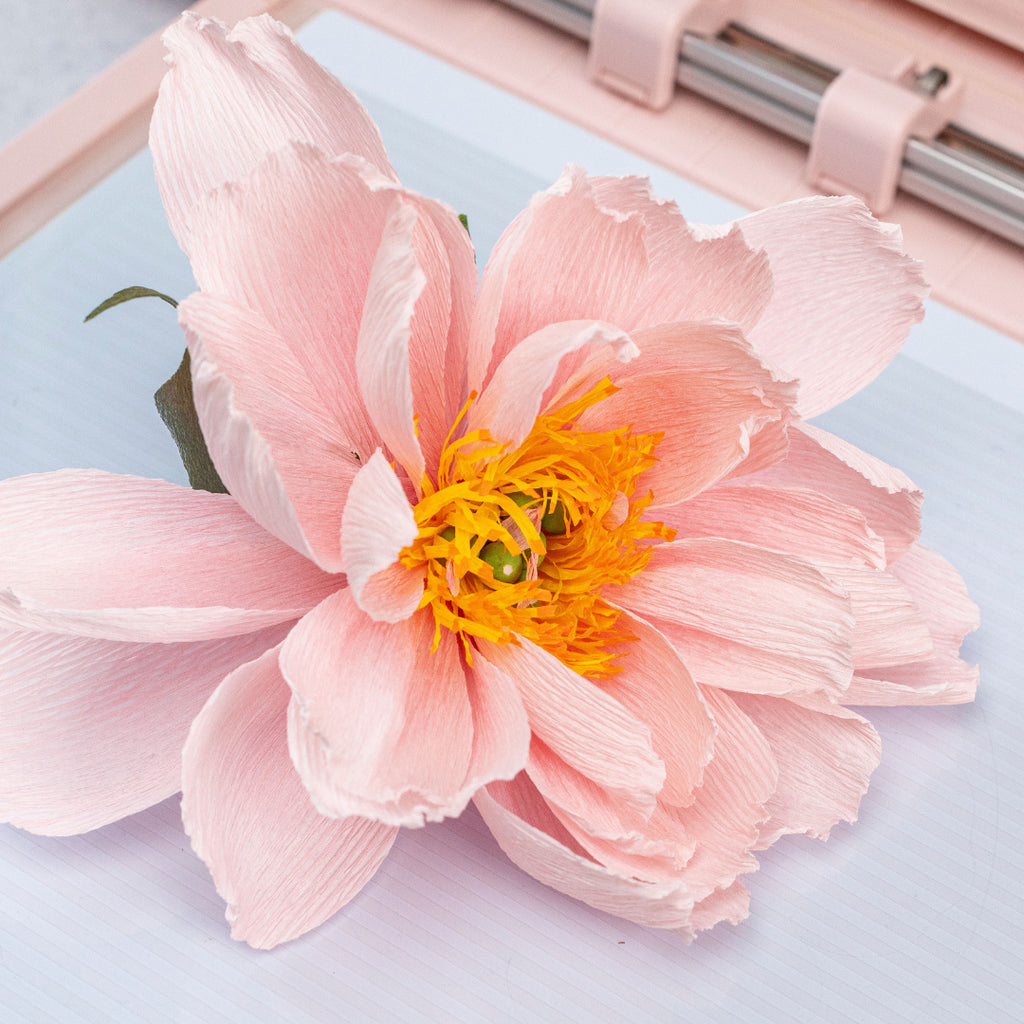 Aplicación de SILHOUETTE CAMEO 5 ALPHA ROSA MATE