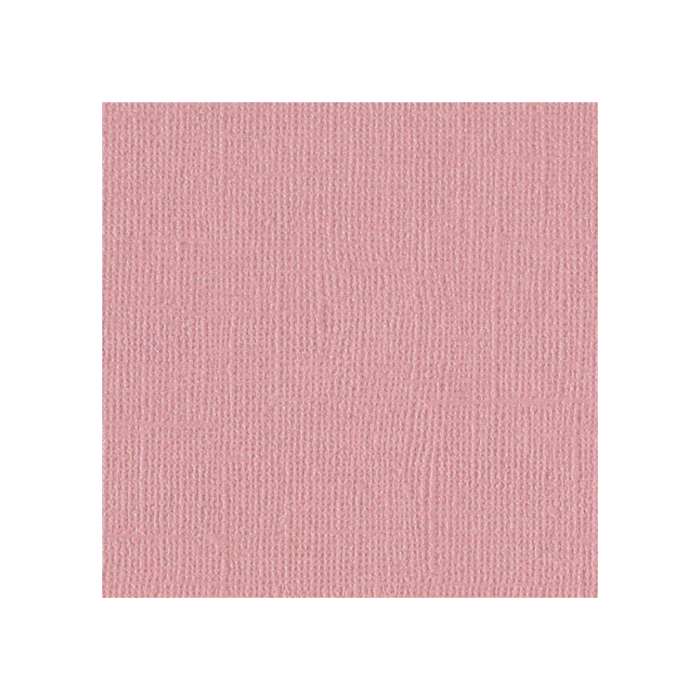 PAQUETE DE INICIO CAMEO ALPHA ROSA