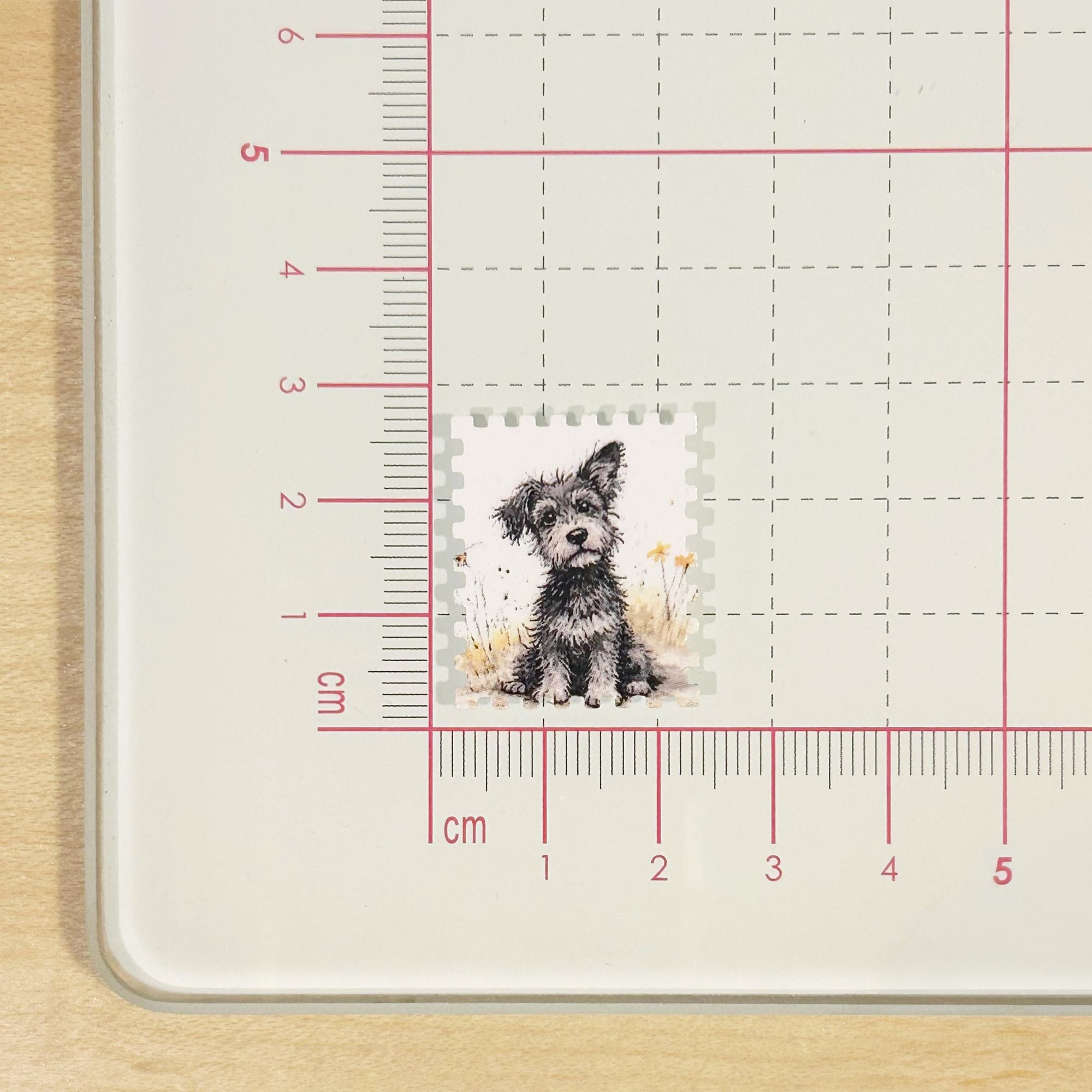 PERFORADORA PAPEL Y FOAMY ESTAMPITA 2.5 CM QUELLI